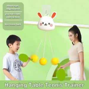Hanging Tennis Toy